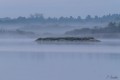 francoise_c brenne sept 2017 6